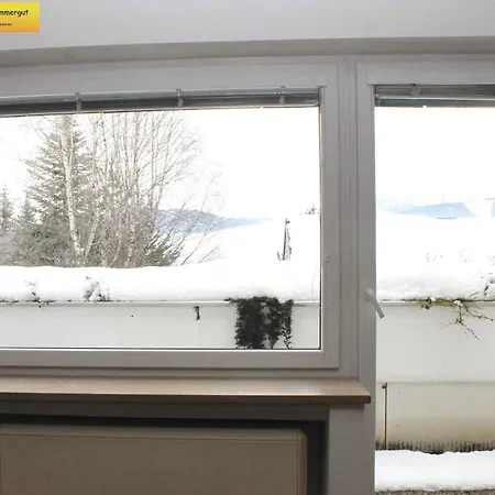 In - Steiermark 41119 *