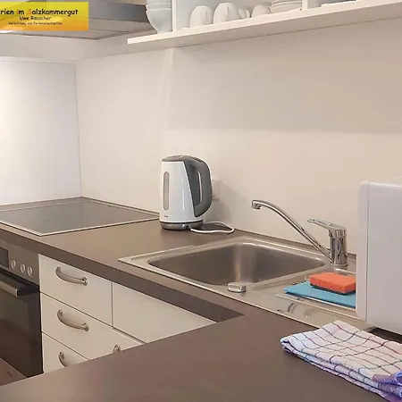 In - Steiermark 41119 *