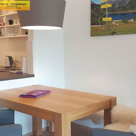 In - Steiermark 41119 *