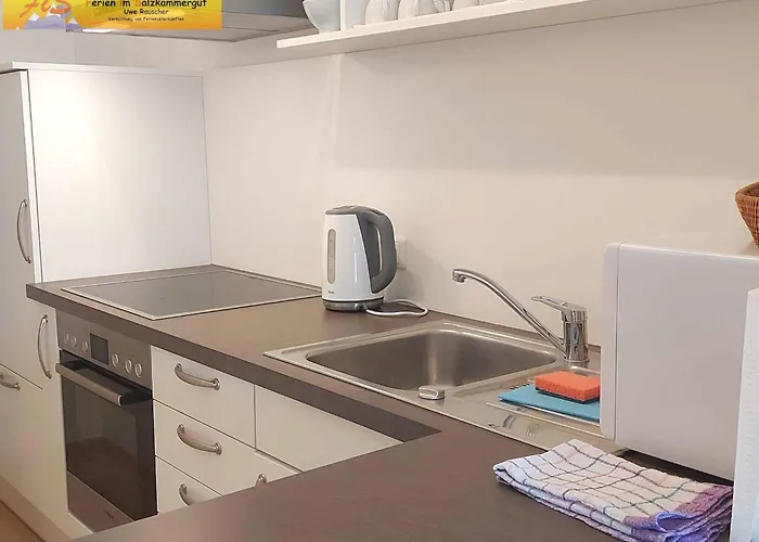 In - Steiermark 41119 *